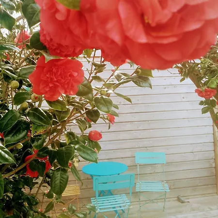 O Douceurs Sucrées Bed and breakfast 3*