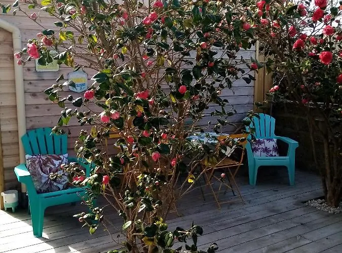 O Douceurs Sucrees Cabourg