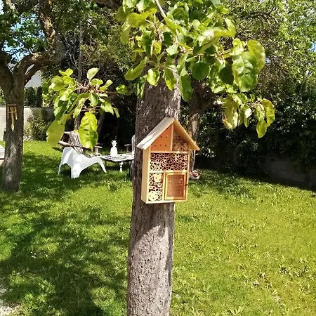 O Douceurs Sucrees Oda ve Kahvaltı Cabourg