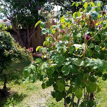 Bed & Breakfast O Douceurs Sucrees 3*