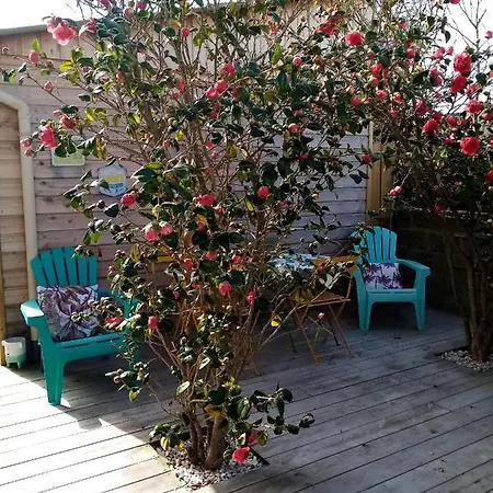 O Douceurs Sucrees Cabourg