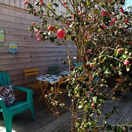 Bed & Breakfast O Douceurs Sucrees