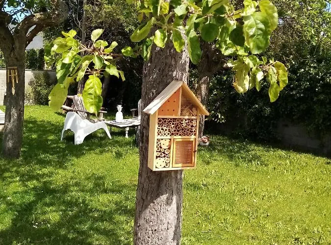 O Douceurs Sucrees ベッド・アンド・ブレックファスト カブール