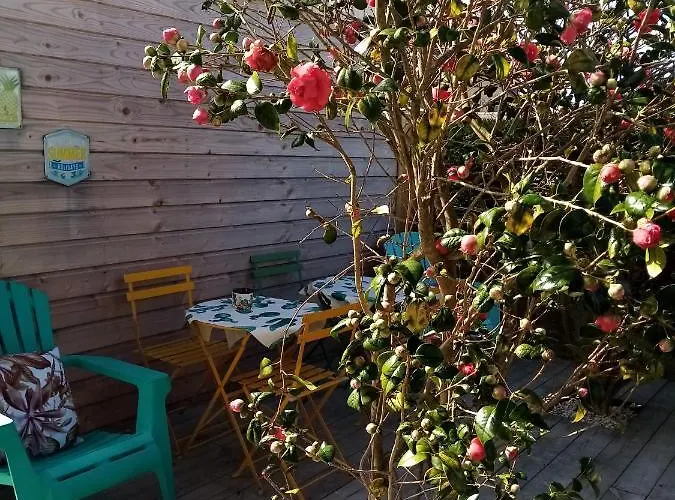 Bed & Breakfast O Douceurs Sucrees