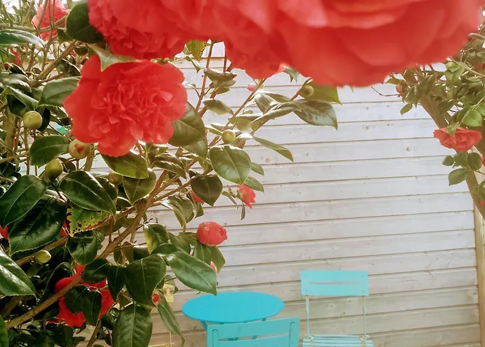 O Douceurs Sucrees Bed & Breakfast 3*